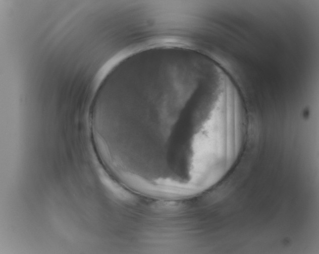 X0000111161474200907211215