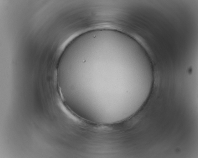 X0000111161476200907211215