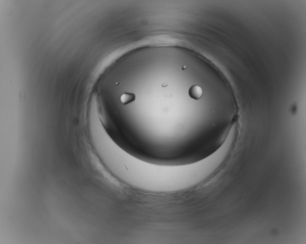 X0000111161477200907211215