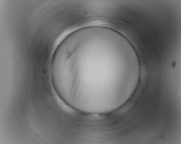 X0000111161478200907211215