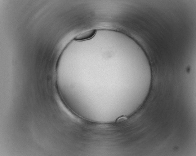 X0000111161479200907211215