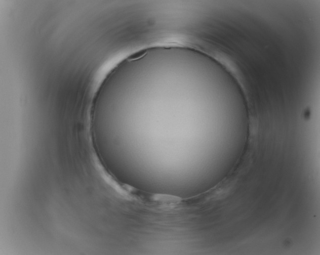 X0000111161480200907211215