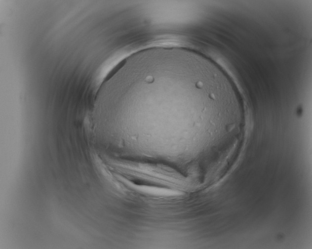 X0000111161481200907211215