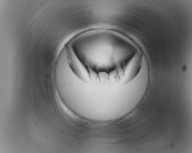 X0000111161484200907211215