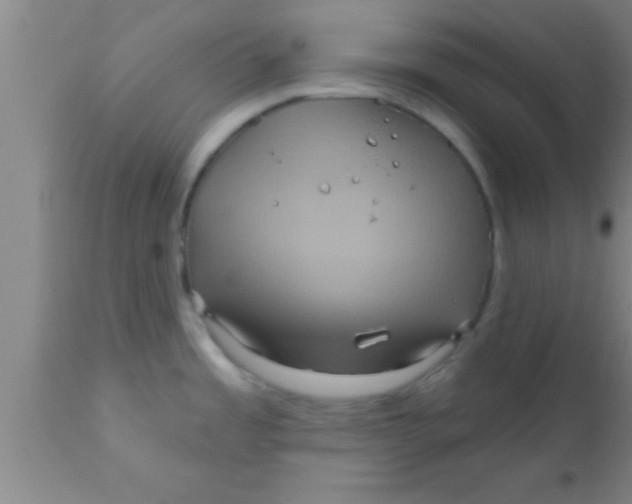 X0000111161485200907211215