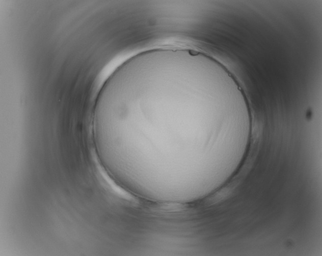 X0000111161486200907211215