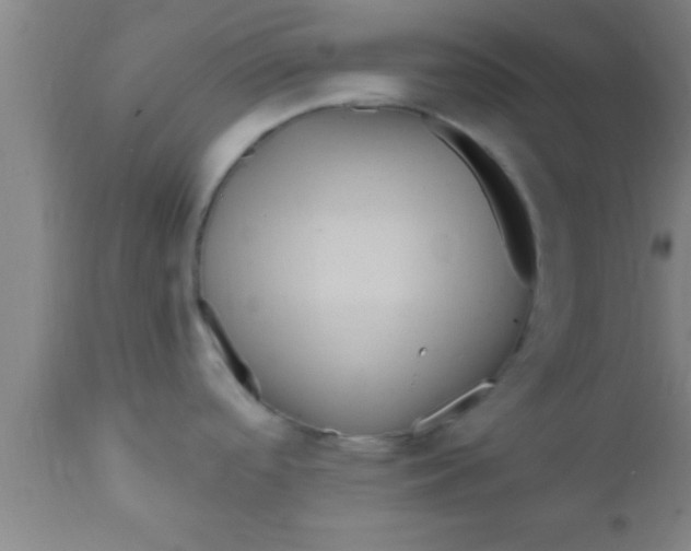 X0000111161488200907211215