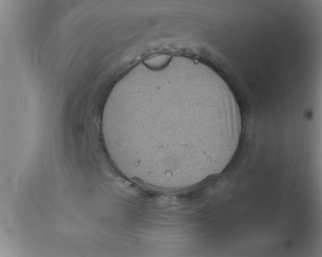 X0000111161489200907211214