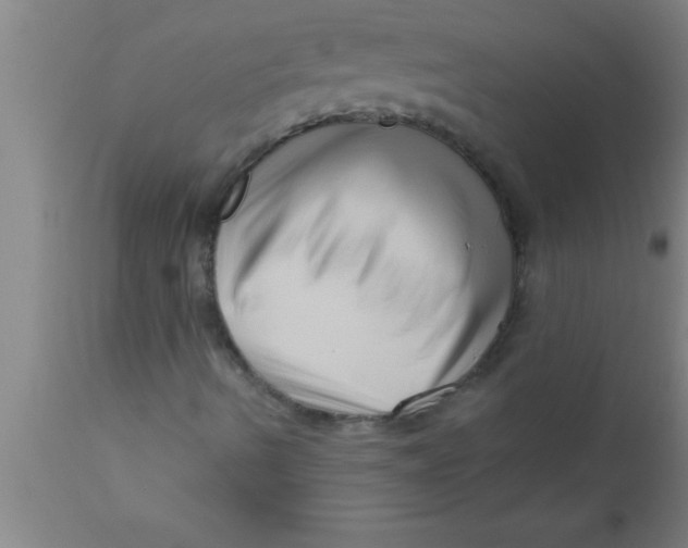 X0000111161490200907211214