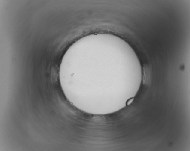 X0000111161491200907211214