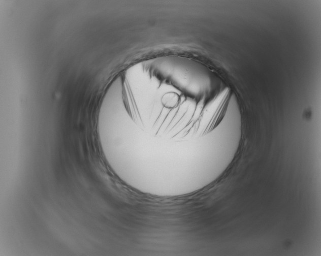 X0000111161492200907211214