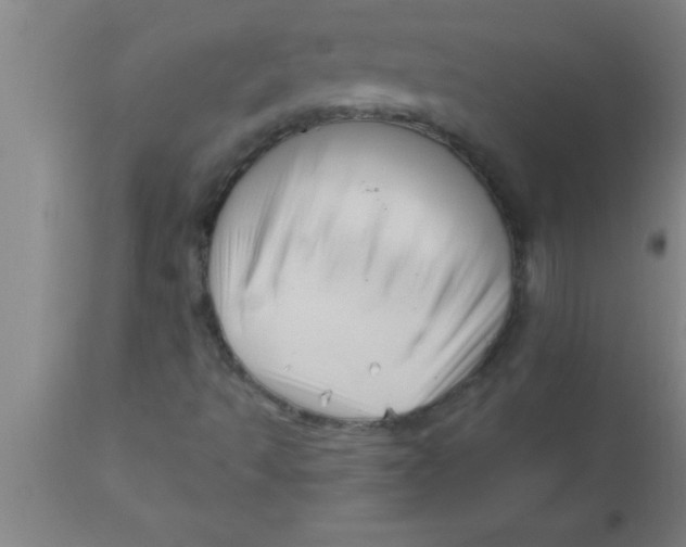 X0000111161493200907211214