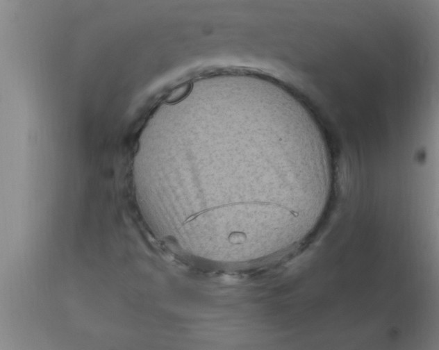 X0000111161494200907211215