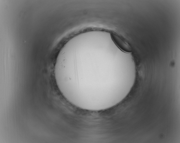 X0000111161495200907211215