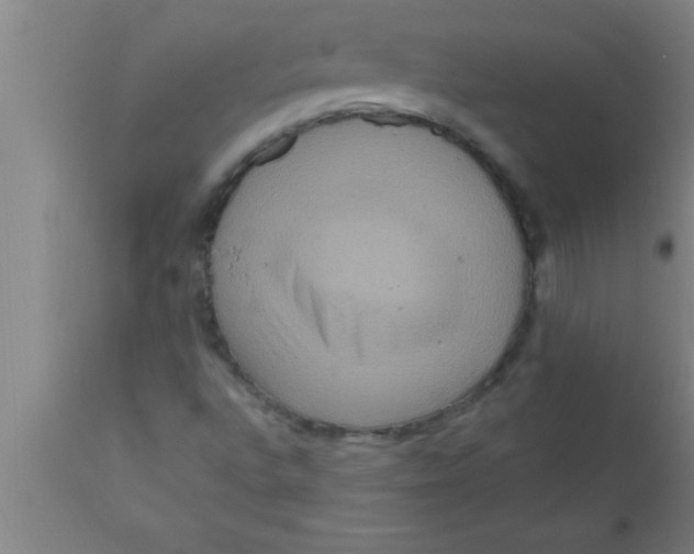 X0000111161496200907211215