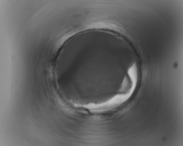 X0000111161497200907211215