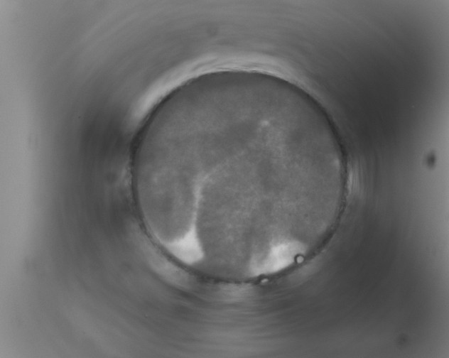 X0000111161498200907211215