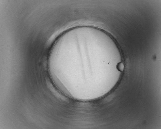 X0000111161499200907211215