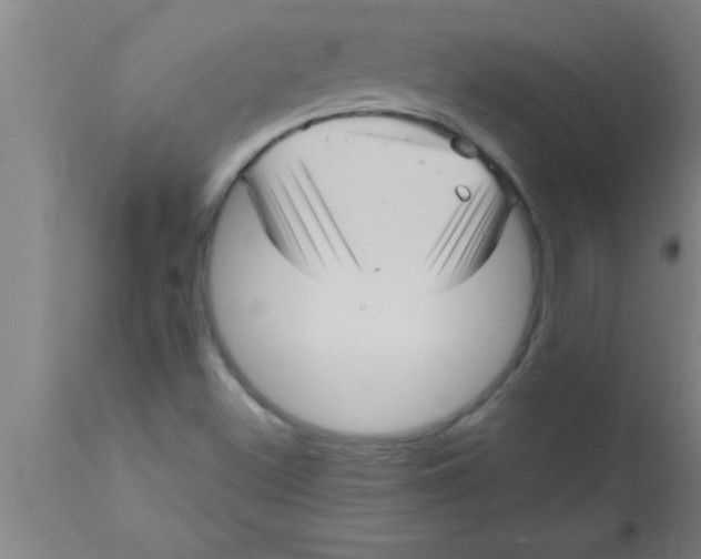 X0000111161500200907211215