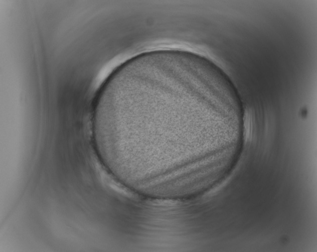 X0000111161501200907211215