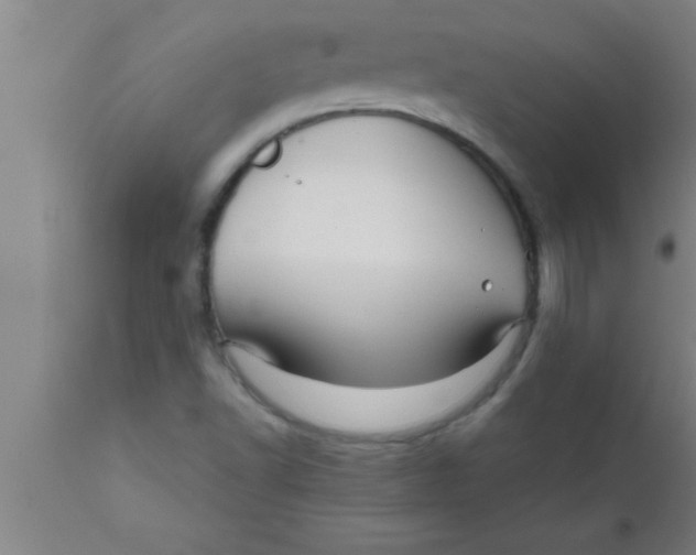 X0000111161502200907211215