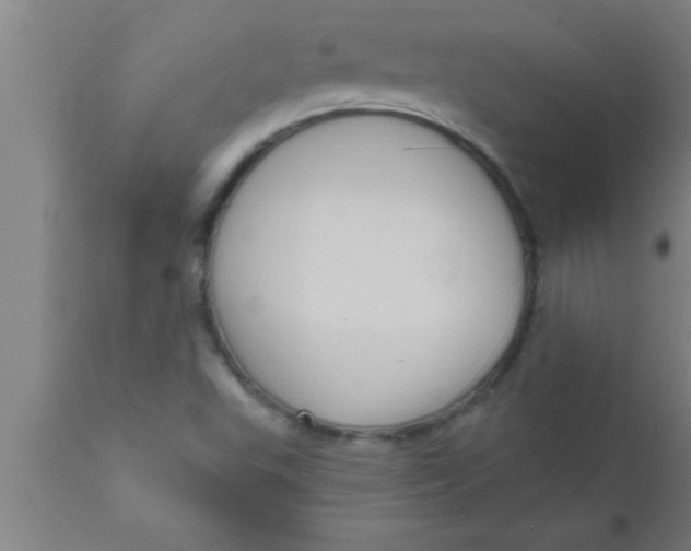 X0000111161503200907211215