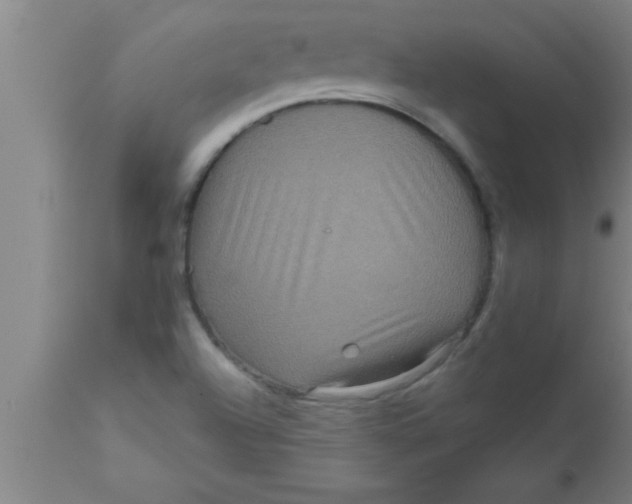 X0000111161504200907211215