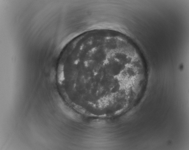 X0000111161505200907211215