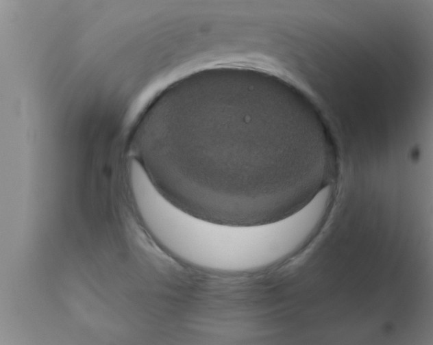 X0000111161506200907211215