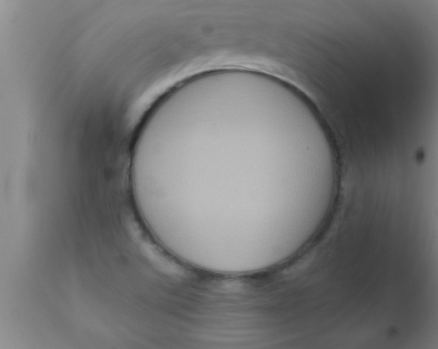 X0000111161507200907211215