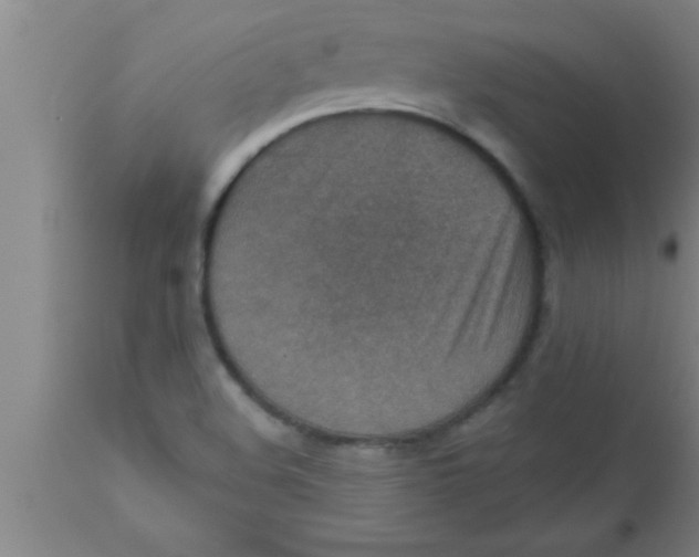 X0000111161508200907211215