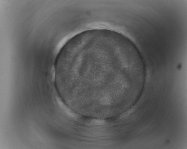 X0000111161509200907211215