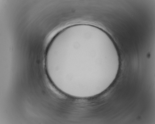 X0000111161511200907211215