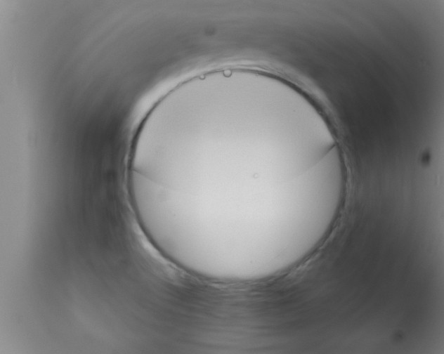 X0000111161512200907211215