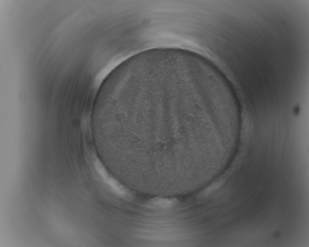 X0000111161513200907211215