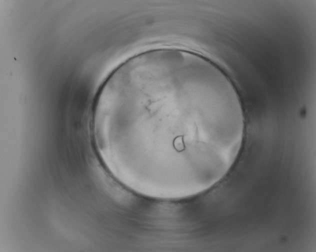 X0000111161514200907211215