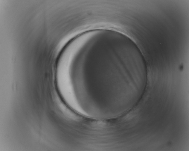 X0000111161515200907211215