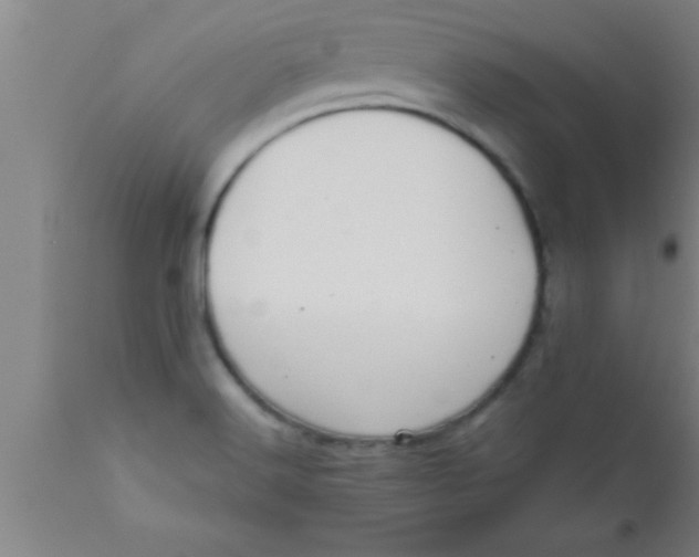 X0000111161516200907211215