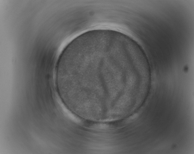 X0000111161517200907211215