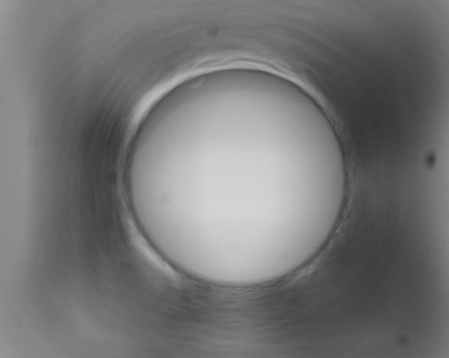 X0000111161518200907211215