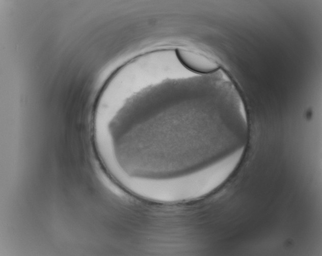 X0000111161519200907211215