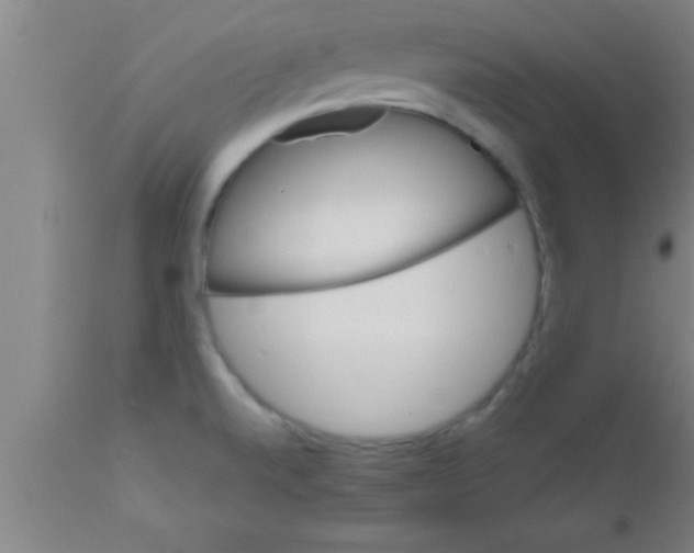 X0000111161520200907211215