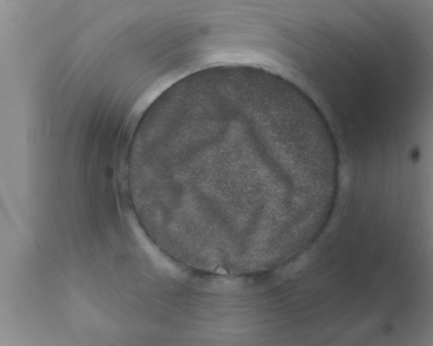 X0000111161521200907211215