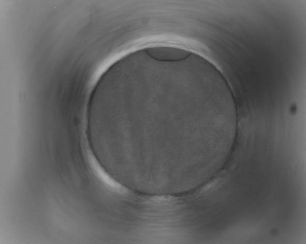 X0000111161523200907211215