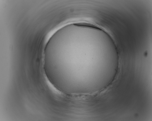 X0000111161524200907211215