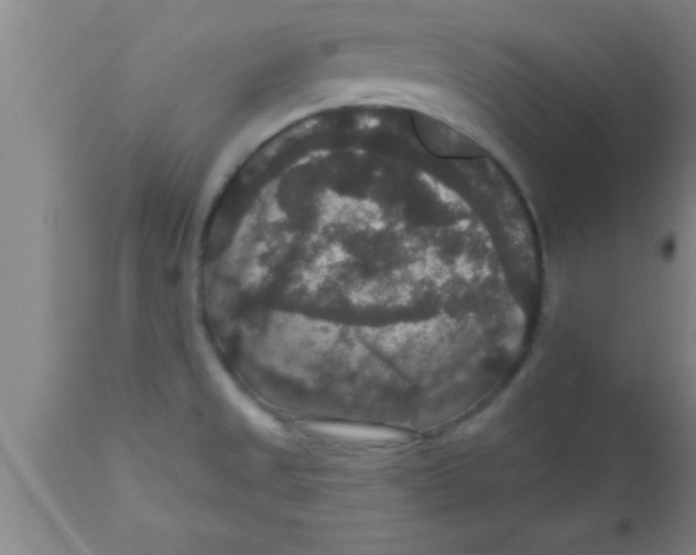 X0000111161525200907211215