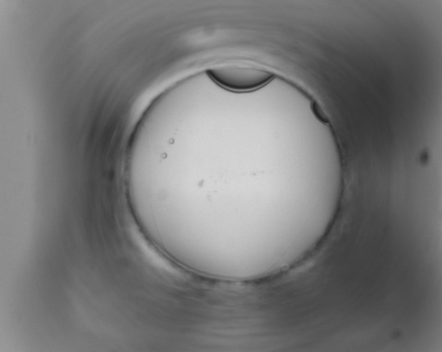 X0000111161526200907211215