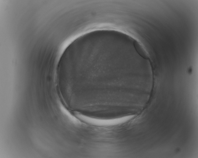 X0000111161527200907211215