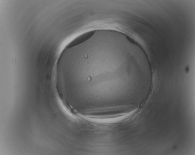 X0000111161528200907211215