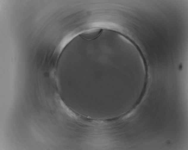 X0000111161529200907211215